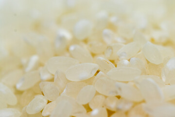 白い米粒にクローズアップ