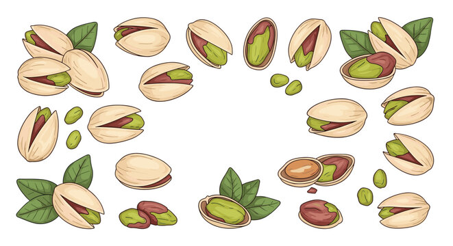 Collection of hand-drawn pistachio nut illustrations including whole shells, cracked open nuts, green kernels, and small leaves on a white backdrop.