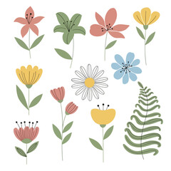 Naklejka premium Vibrant Spring Flowers and Fern Illustration - Botanical Collection