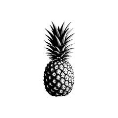 Obraz premium Pineapple black and white vintage illustration, detailed, tropical fruit