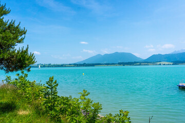 Bergpanorama am Forggensee im Allg&auml;u, im Vordergrund das Gr&uuml;n des Ufers, dahinter Wasser und Alpenkulisse.