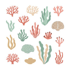 Fototapeta premium Colorful Coral Reef Elements: Brain Coral, Seaweed, and Branching Corals - Vector Illustration
