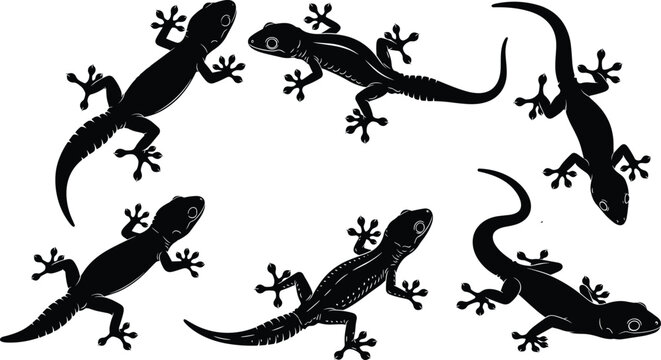 Set of gecko lizard silhouette vectors, tropical reptile collection in multiple poses, isolated black animal illustrations for wildlife design