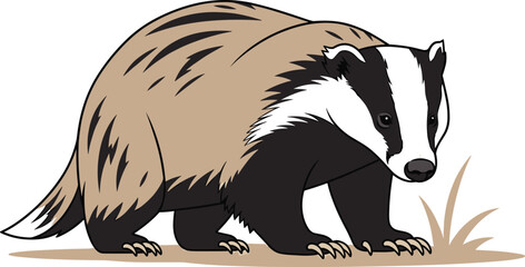 European Badger Wildlife Animal Illustration in Flat Vector Style Showing Forest Mammal with Natural Fur Colors for Nature, Ecology, and Wildlife Design Projects © SUMON