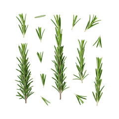 Fototapeta premium Fresh, vibrant green rosemary sprigs and scattered needle-like leaves, photorealistic flat lay, studio top-down on a transparent background with copy space, natural culinary inspiration