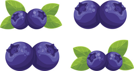 Blueberry fruit vector set. Fresh ripe blueberries with green leaves. Organic berry elements isolated for healthy food design, farm product labels and natural ingredient packaging. © HELEN QUEEN