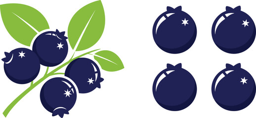 Blueberry fruit vector set. Simple flat blueberry branch with leaves and single berries. Fresh organic berry illustration. © HELEN QUEEN