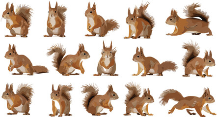 Squirrel poses collection vector illustration featuring multiple sitting, running, jumping and eating squirrel positions hand drawn woodland animal character set isolated background © MdNipon