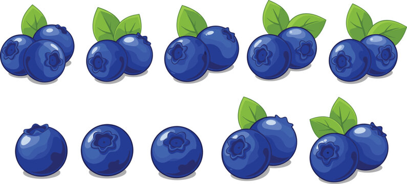 Blueberry fruit vector collection. Fresh ripe blueberries with green leaves. Juicy organic berry set isolated illustration.