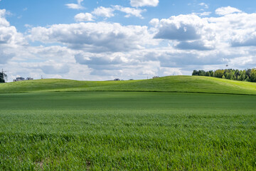New residential buildings are being built next to green meadows against a backdrop of forest and cloudy skies