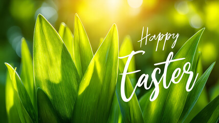 A green Easter card with the text Happy Easter.