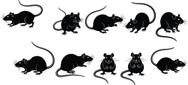 Rat silhouettes collection, rodent pest animal vector illustration set, black mouse rodents different poses isolated on white background