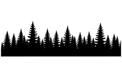 Obraz premium Evergreen Pine Fir Spruce Forest Silhouette Vector Illustration