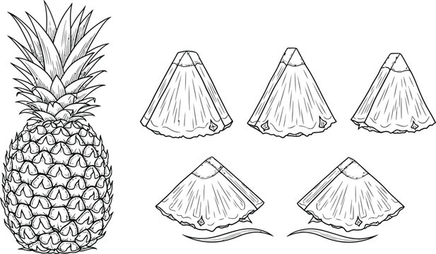 A detailed black and white line art illustration of a whole pineapple and several sliced wedges