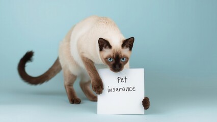 Obraz premium Accident only pet insurance for your beloved pet home office informative image light background engaging concept