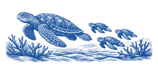 Mother Sea Turtle Swimming with Baby Turtles Underwater in Detailed Traditional Hand Drawn Vector Engraving and Line Art Style. © Chairul