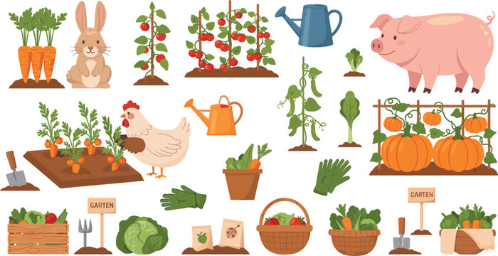 Farm garden elements collection with vegetables, pumpkin patch, pig, chicken, watering can and plants cartoon vector illustration set