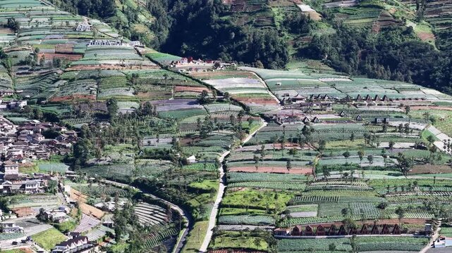 Lush terraced fields and patchwork farmland surround a small village in the Magelang highlands of Java, Indonesia, showing hillside cultivation, rural settlement patterns and verdant agricultural scen