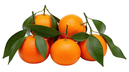 Fresh Tangerines with Green Leaves 2.