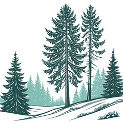 Obraz premium Tall pine trees on a snowy hill