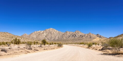 Desert landscape features dirt road leading toward distant mountains under clear blue sky. Sparse vegetation dots arid terrain. Peaceful scene.