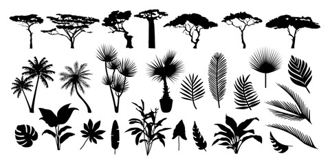Set of black tree and tropical leaf silhouettes. Collection of exotic plants, palms and savannah flora isolated on white background. Botanical design element for nature illustration. © Helena