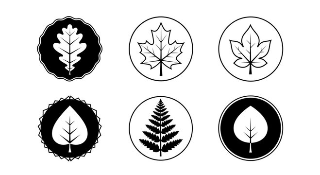 Set of stylized leaf icons: oak, maple, fern, and simple leaf in circles and badges