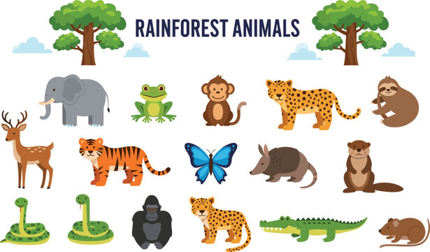 Rainforest Animals Cartoon Collection with Leopard Monkey and Elephant