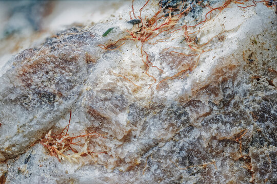 Macro image of analcime and aegirine with moss rhizoids from Blue Lakes Gorge area near Aykuayvenchorr Mt., Khibiny captured via microscope objective at 4&times; magnification with 9 mm field of view