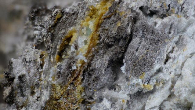 Macro image of phosphohedyphane white gray translucent with vauquelinite black microspheres from Murzinsky Mine, Krasnoshchekino, Altai Krai, via microscope, 10x magnification, 3.6mm field of view.