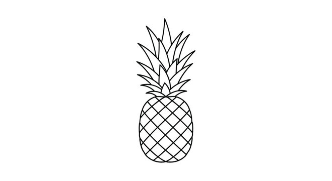 Vector illustration of simple line art drawing of a pineapple fruit icon