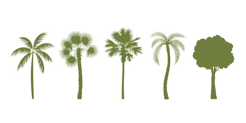A collection of five different green tropical palm trees and a leafy tree in a flat silhouette Vector © AZIFA