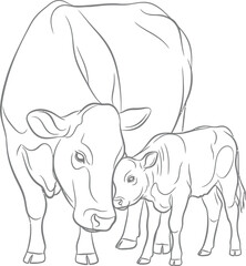 Fototapeta premium Simple black and white line art drawing depicts a gentle mother cow affectionately nuzzling her small adorable baby calf together
