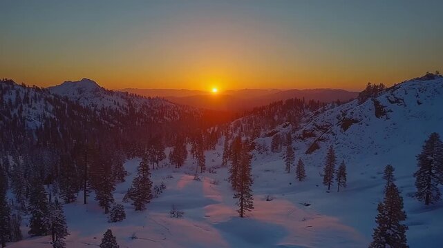 giant sequoia, national park, sierra nevada, forest,