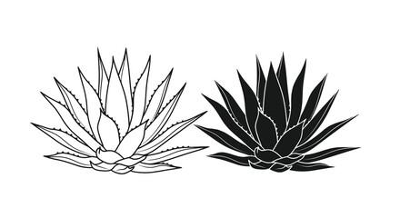 A striking black and white illustration depicts two agave plants showcasing their distinctive spiky leaves and symmetrical forms high quality professional © Bsicon02