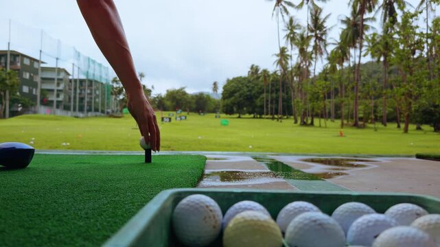Low Angle View Of Golfer Hand Placing Ball On Tee At Tropical Driving Range Before Practice Swing, Preparation Moment On Wet Field With Palm Trees In Background