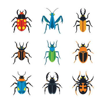 Collection of Colorful Insect Illustrations: Beetles, Praying Mantis, Spider, and More