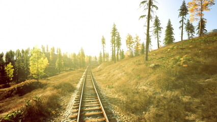Obraz premium Sunlit railway tracks cutting through hillside, pine trees lining slope, tall grass and scattered autumn foliage, warm golden glow of late afternoon, long
