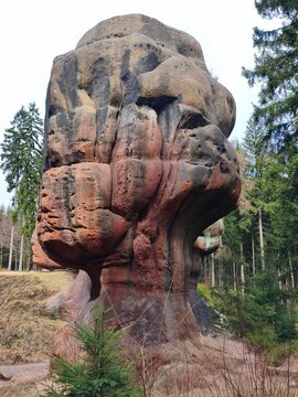  
Unique Mushroom-Shaped Sandstone Formation "Kelchstein" in Zittau Mountains, Saxony, Germany. Giant red rock monolith surrounded by pine forest, natural geological monument near Oybi