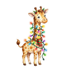 Naklejka premium Christmas watercolor cute giraffe wrapped in colorful string lights and scarf, festive animal character isolated on white or transparent background