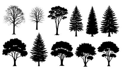 Detailed Forest and Park Tree Silhouettes Vector Illustration Set © Wahida