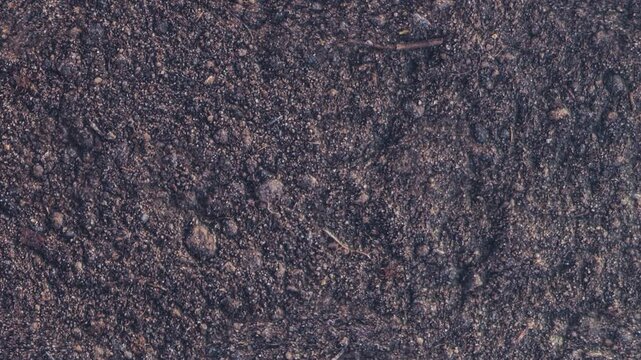 Seamless loop of dark brown soil texture scrolling downwards continuously in 4K, 3d rendering.