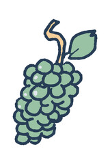 Naklejka premium Green juicy grapes Greek garden