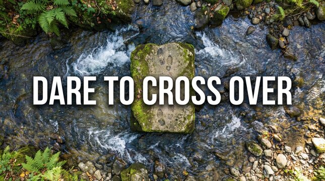 Overhead view of a single brav s1 crossing a stream, upscaled