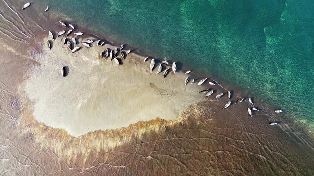 Aerial drone view of the colorful rhyolite slopes of Namafjall. Steam vents rise from mineral streaked hills in shades of brown, red, and ochre, highlighting Iceland's active geothermal forces