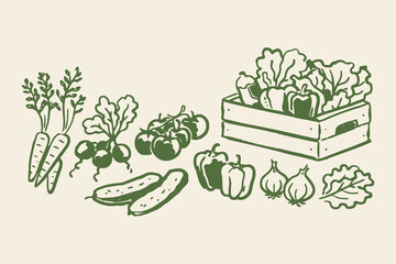 Plakat Vegetable crate set outline sketch vector illustration