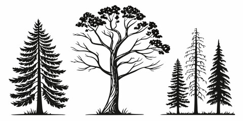 A collection of various types of trees in a black and white illustration © Murad