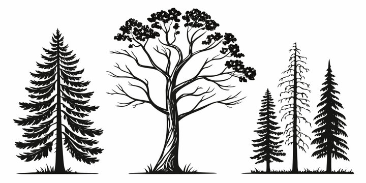 A collection of various types of trees in a black and white illustration