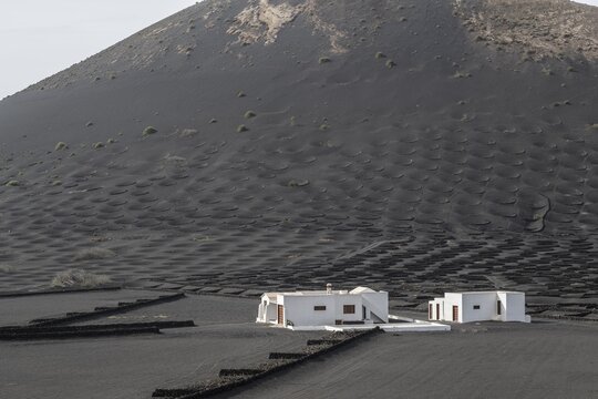 Wine growing in volcanic ash pits protected by dry stone walls, Yaiza, Lanzarote, Canary Islands, Spain