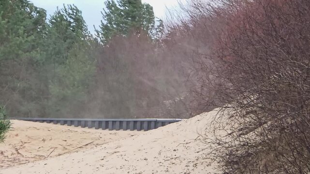 Strong wind over sandy dunes and coastal shrubs